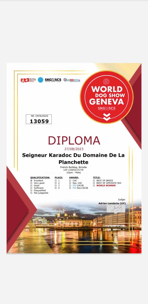 World Dog Show Genève 2023